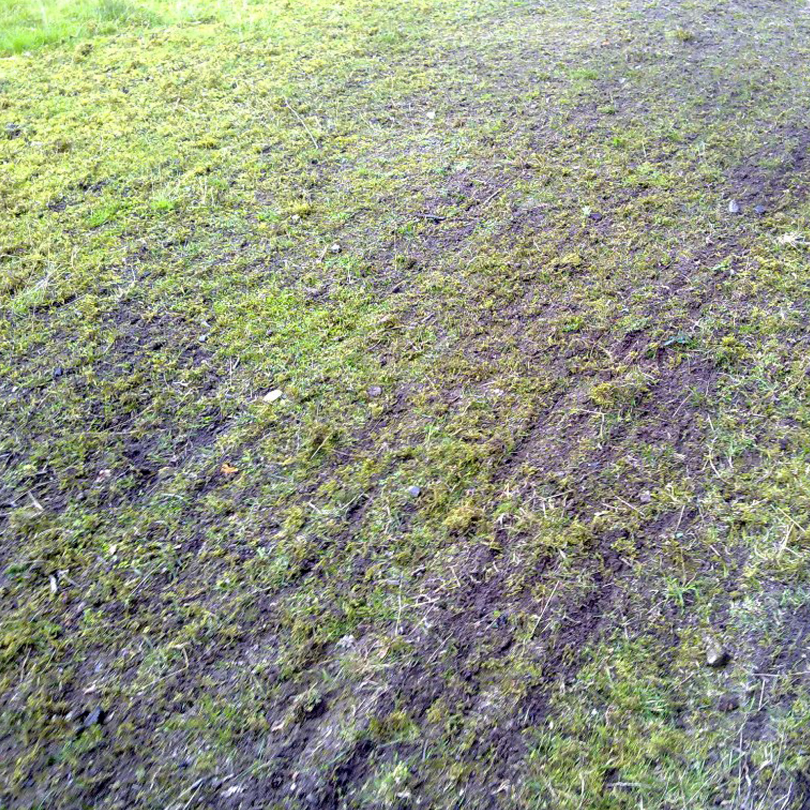 Jansen poľné, lúčne brány, na úpravu jazdeckej dráhy 1,4m